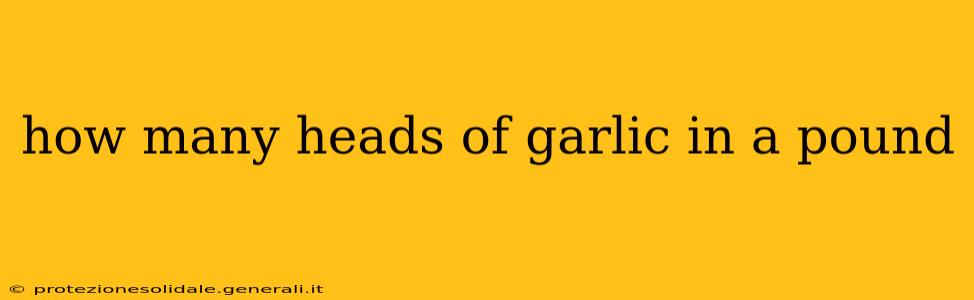 how many heads of garlic in a pound