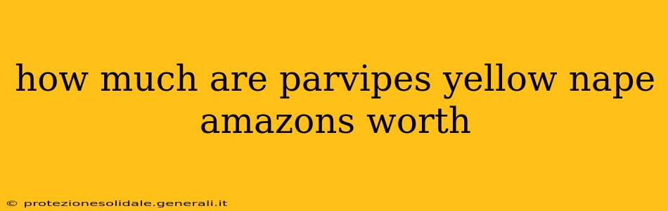 how much are parvipes yellow nape amazons worth