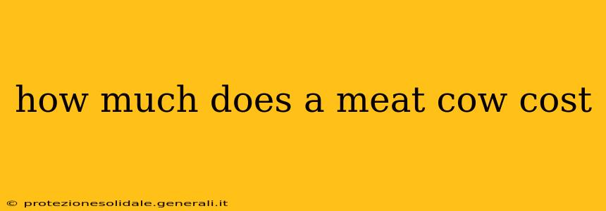how much does a meat cow cost