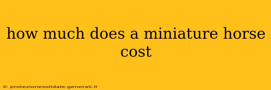 how much does a miniature horse cost