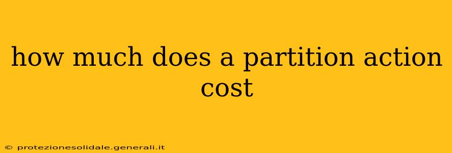 how much does a partition action cost