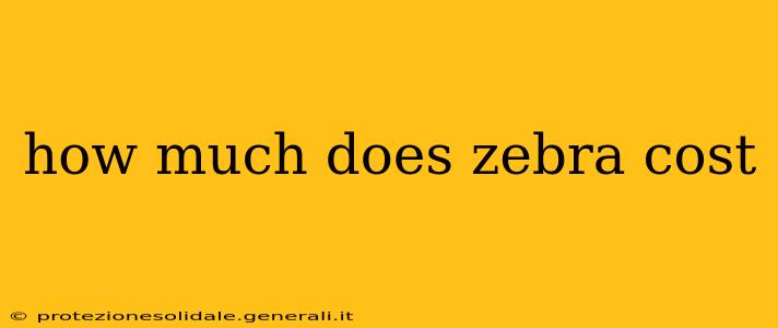 how much does zebra cost