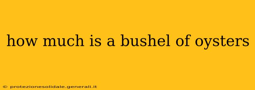 how much is a bushel of oysters