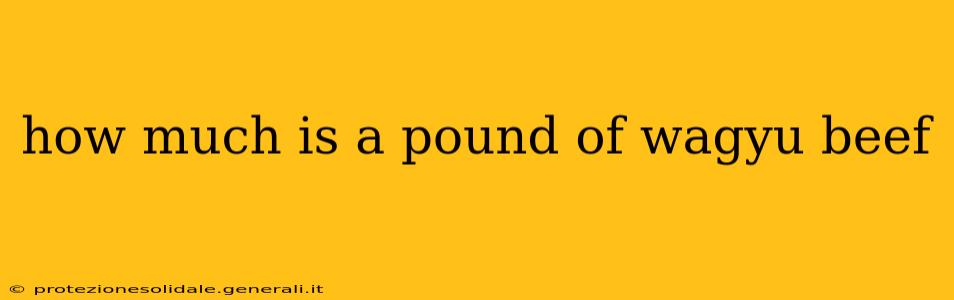 how much is a pound of wagyu beef