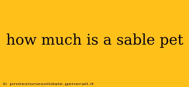 how much is a sable pet