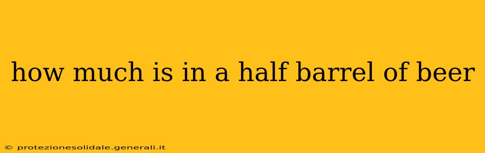 how much is in a half barrel of beer