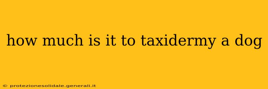 how much is it to taxidermy a dog