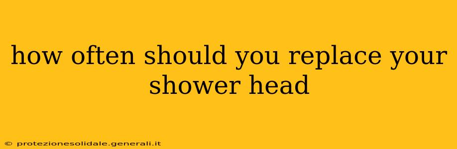 how often should you replace your shower head