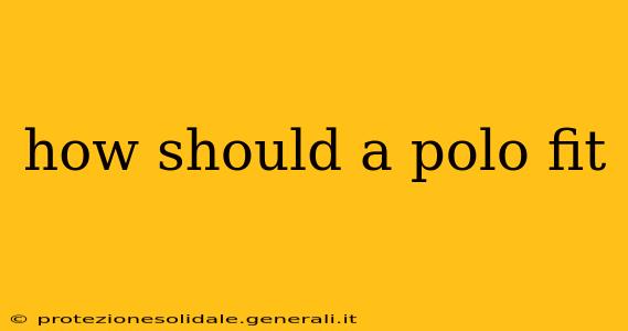 how should a polo fit