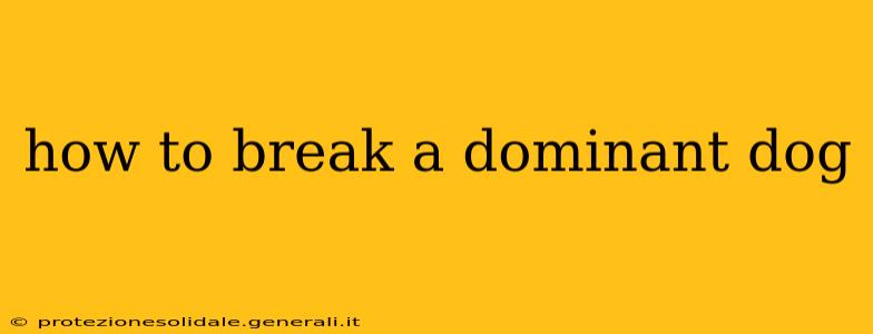how to break a dominant dog