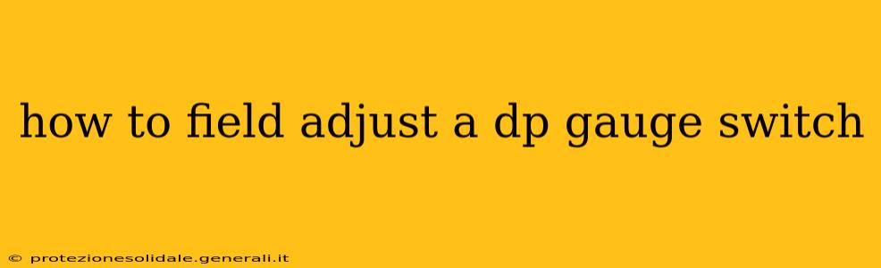 how to field adjust a dp gauge switch