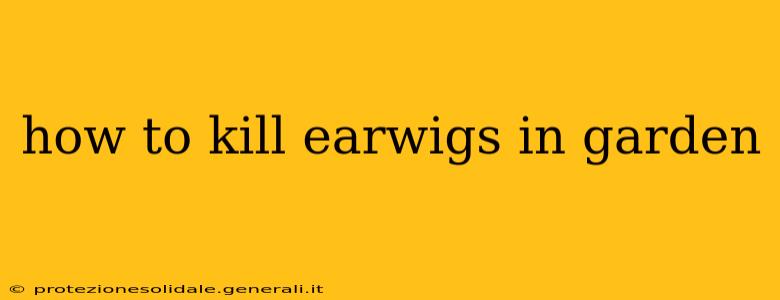 how to kill earwigs in garden