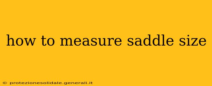 how to measure saddle size
