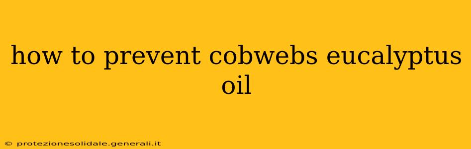 how to prevent cobwebs eucalyptus oil