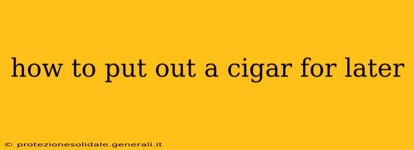 how to put out a cigar for later