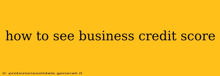 how to see business credit score