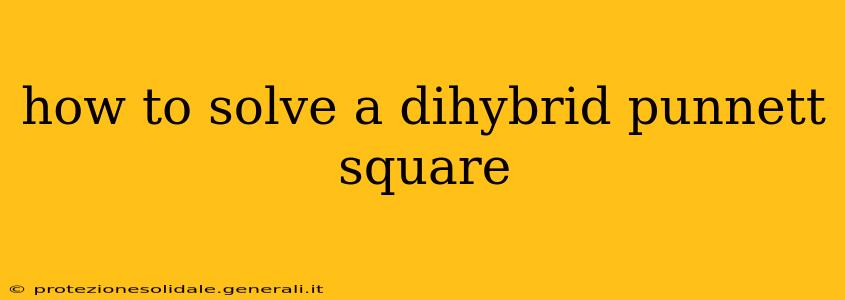 how to solve a dihybrid punnett square