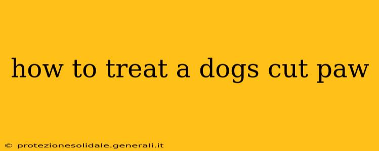 how to treat a dogs cut paw