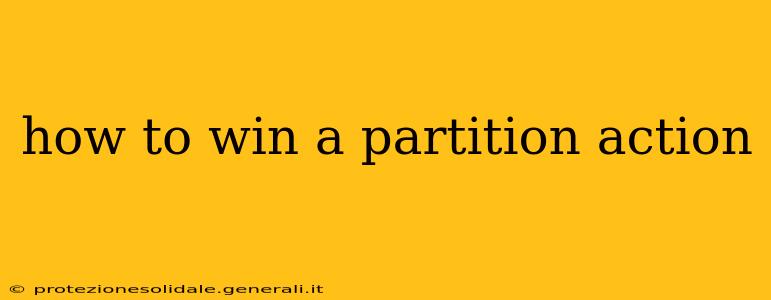 how to win a partition action