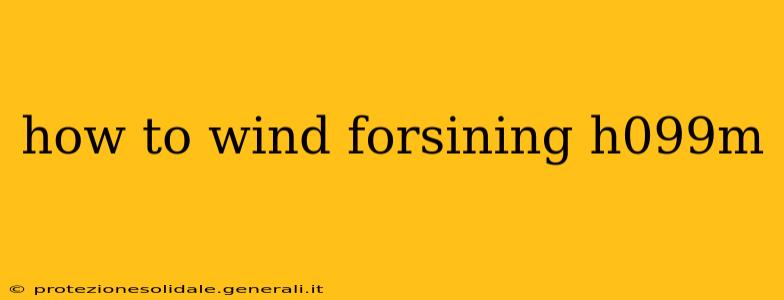 how to wind forsining h099m