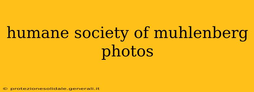 humane society of muhlenberg photos