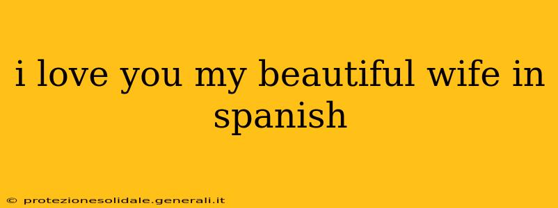 i love you my beautiful wife in spanish