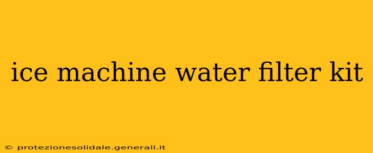 ice machine water filter kit