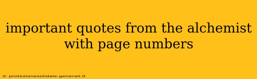 important quotes from the alchemist with page numbers