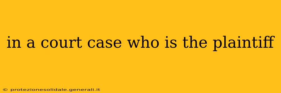 in a court case who is the plaintiff