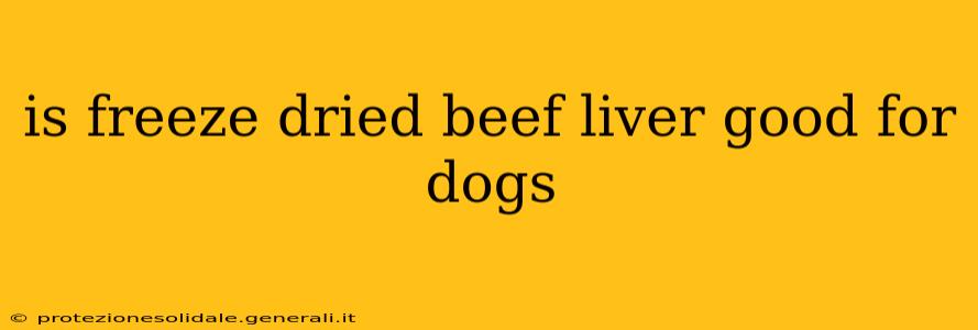 is freeze dried beef liver good for dogs