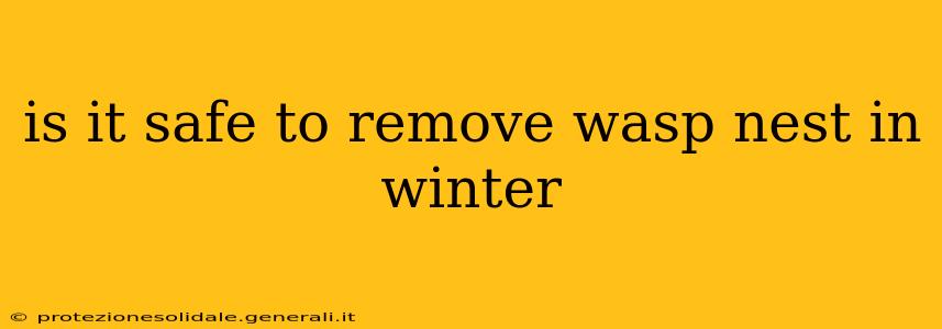 is it safe to remove wasp nest in winter