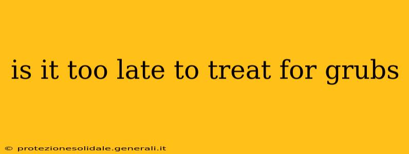 is it too late to treat for grubs