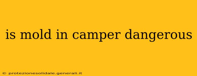 is mold in camper dangerous