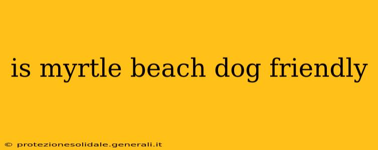 is myrtle beach dog friendly