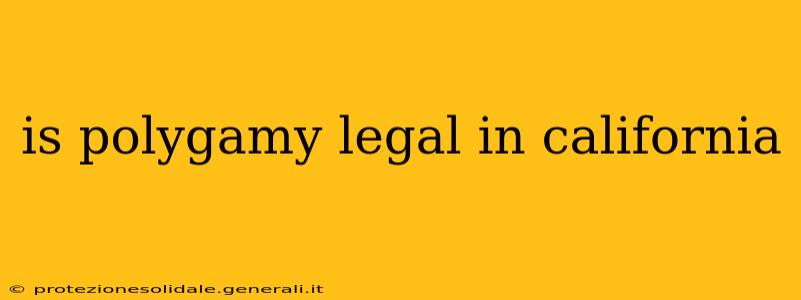 is polygamy legal in california