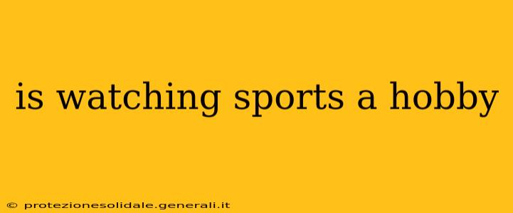 is watching sports a hobby