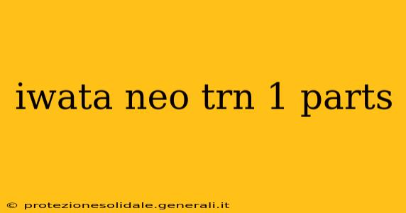 iwata neo trn 1 parts
