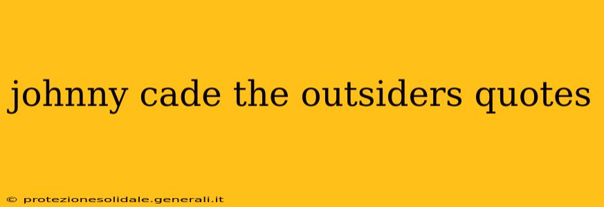 johnny cade the outsiders quotes