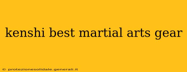kenshi best martial arts gear