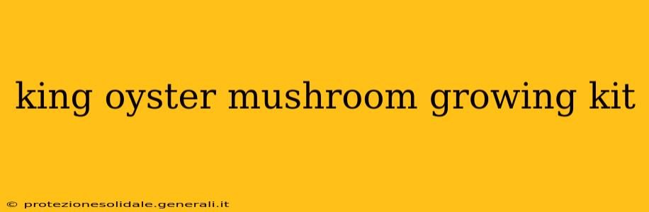 king oyster mushroom growing kit