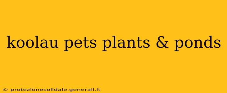 koolau pets plants & ponds