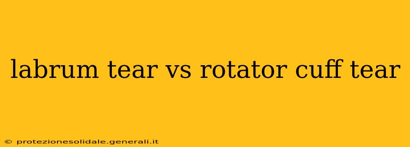 labrum tear vs rotator cuff tear