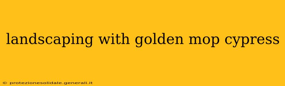 landscaping with golden mop cypress