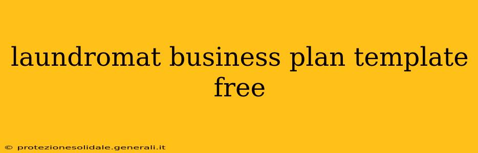 laundromat business plan template free