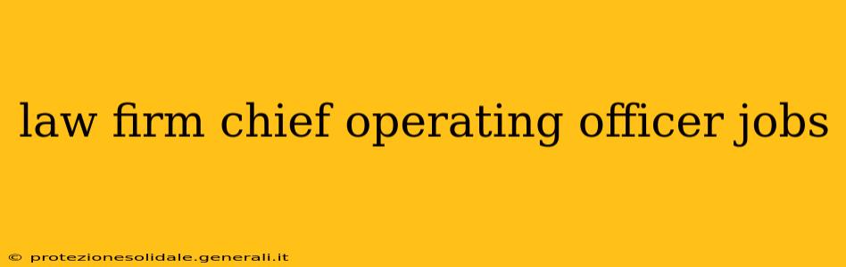 law firm chief operating officer jobs