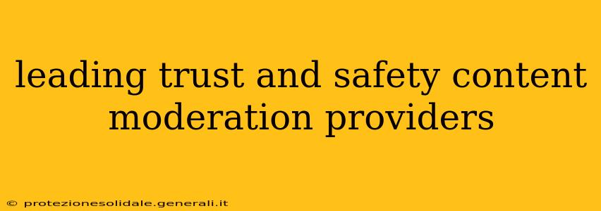 leading trust and safety content moderation providers