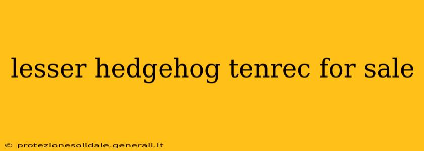 lesser hedgehog tenrec for sale