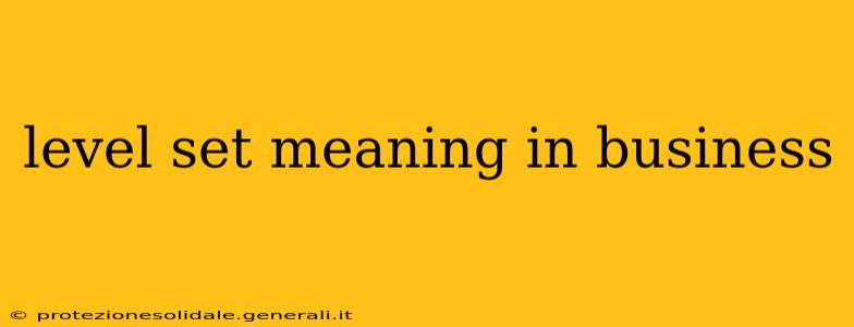 level set meaning in business
