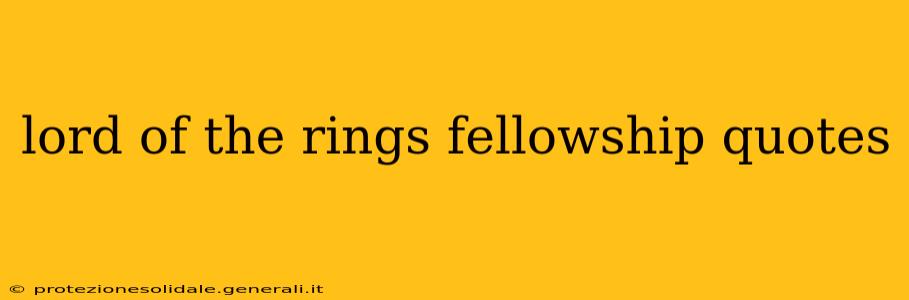 lord of the rings fellowship quotes