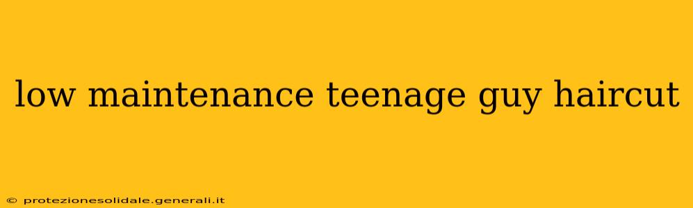 low maintenance teenage guy haircut